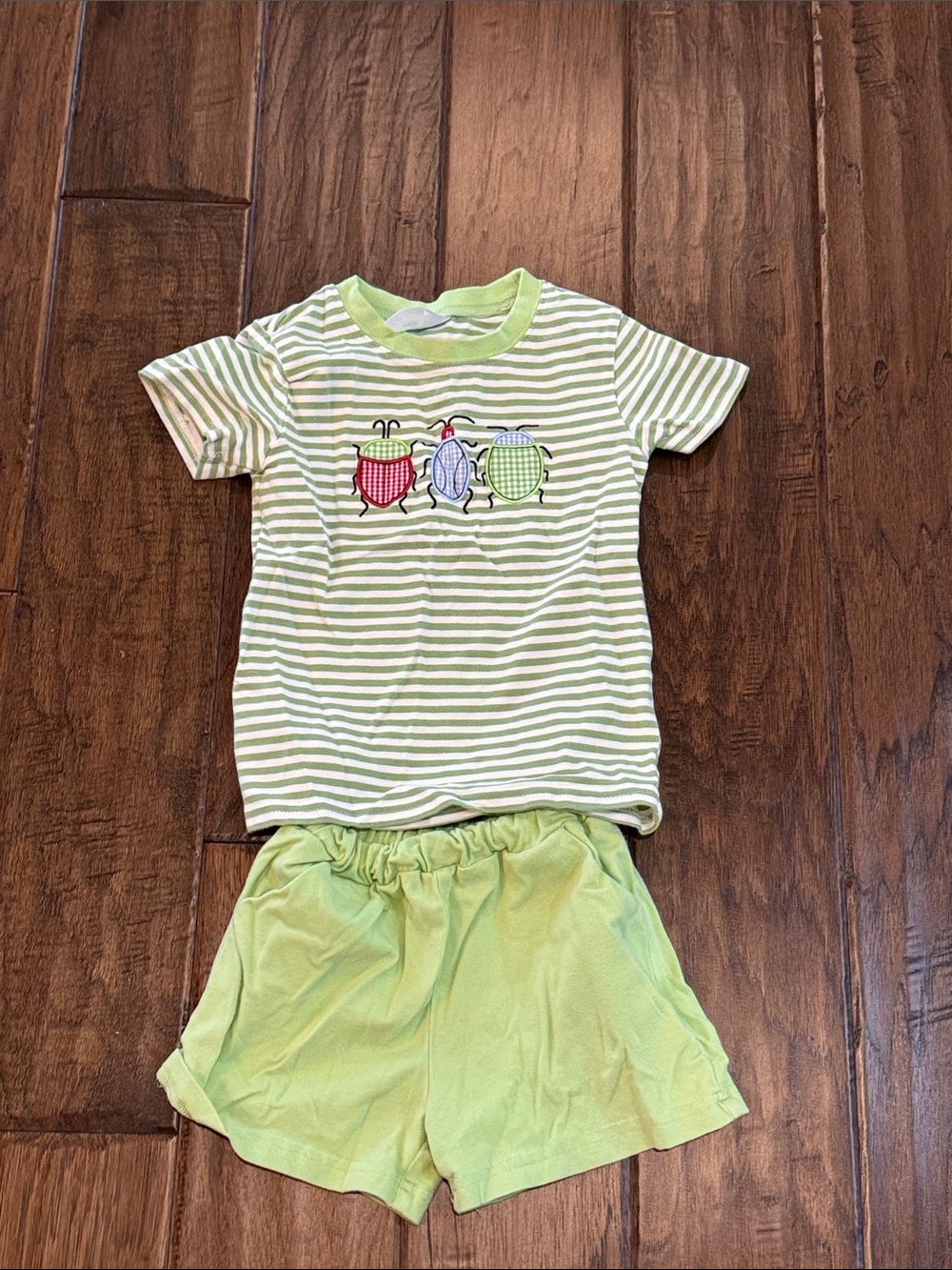 Kids Green Striped Matching Set with Bug Appliqué